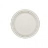 Plato Caña de Azúcar 22 cm (50 und)(10)