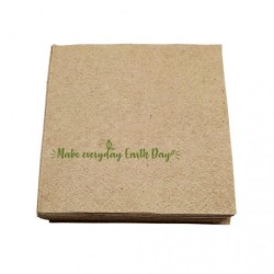 Serv. 30 x 30 1 capas BIO-Eco reciclado 100%   (100 uds)(60)