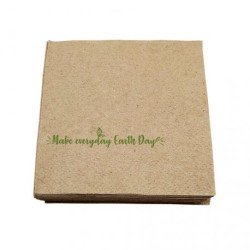 Serv. 30 x 30 1 capas BIO-Eco reciclado 100%   (100 uds)(60)
