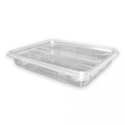 Envase rPET C/tapa bisagra p/embutidos H40 (50 und) 22x145x40 mm (8)