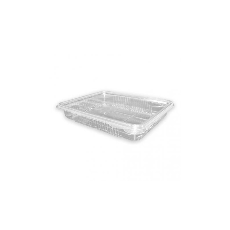 Envase rPET C/tapa bisagra p/embutidos H40 (50 und) 22x145x40 mm (8)
