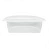 Tarrina PP c/tapa bisagra, transp. micro 2000 cc (50 und)(4)