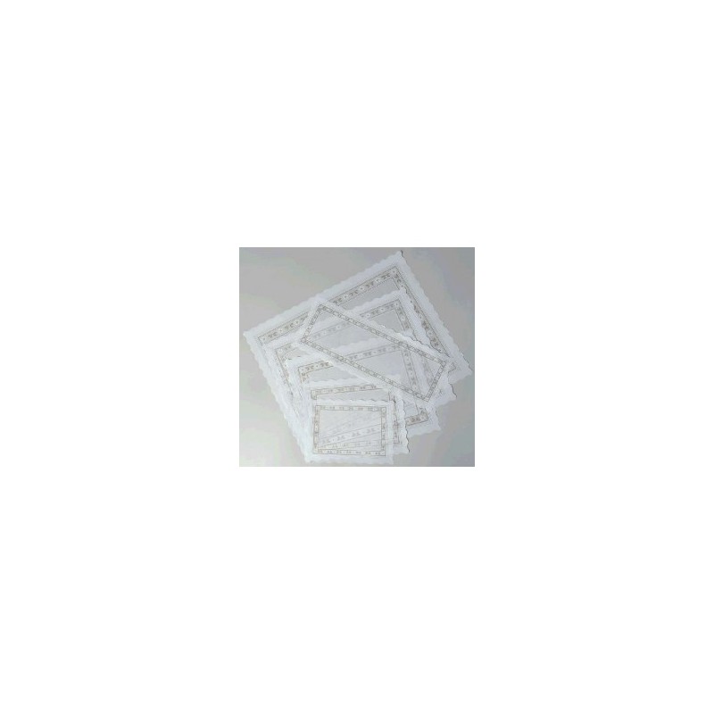 Blondas Parafina 16 x 42 cm (100 und)